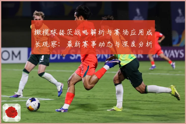 橄榄球赫茨战略解析与赛场应用成长观察：最新赛事动态与深度分析