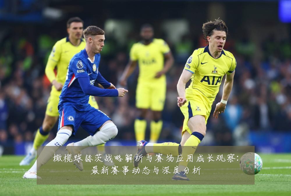橄榄球赫茨战略解析与赛场应用成长观察:最新赛事动态与深度分析